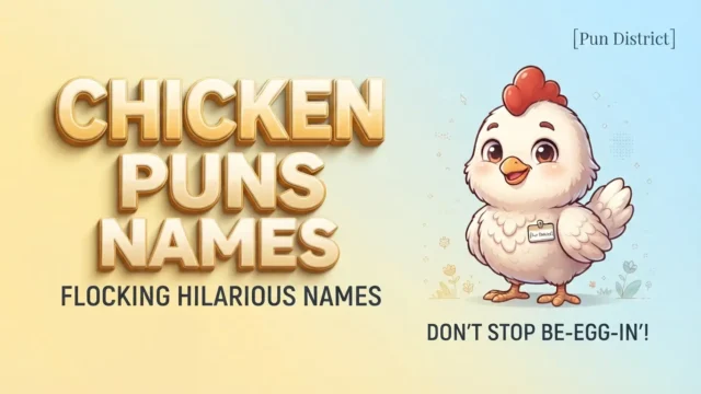 chicken puns names