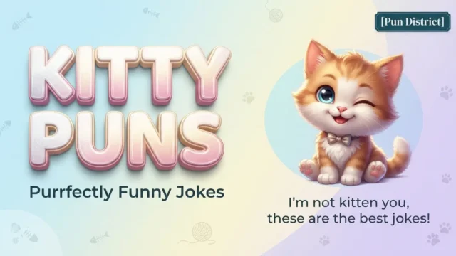 kitty puns