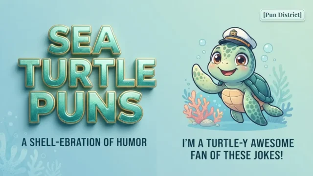 sea turtle puns