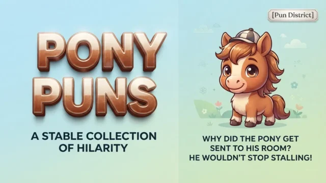 pony puns